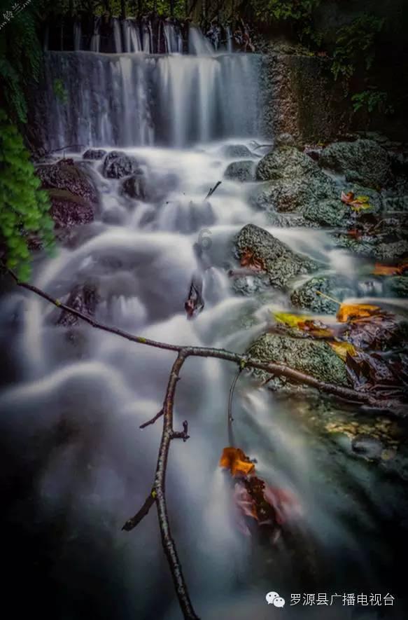 牛油果面包